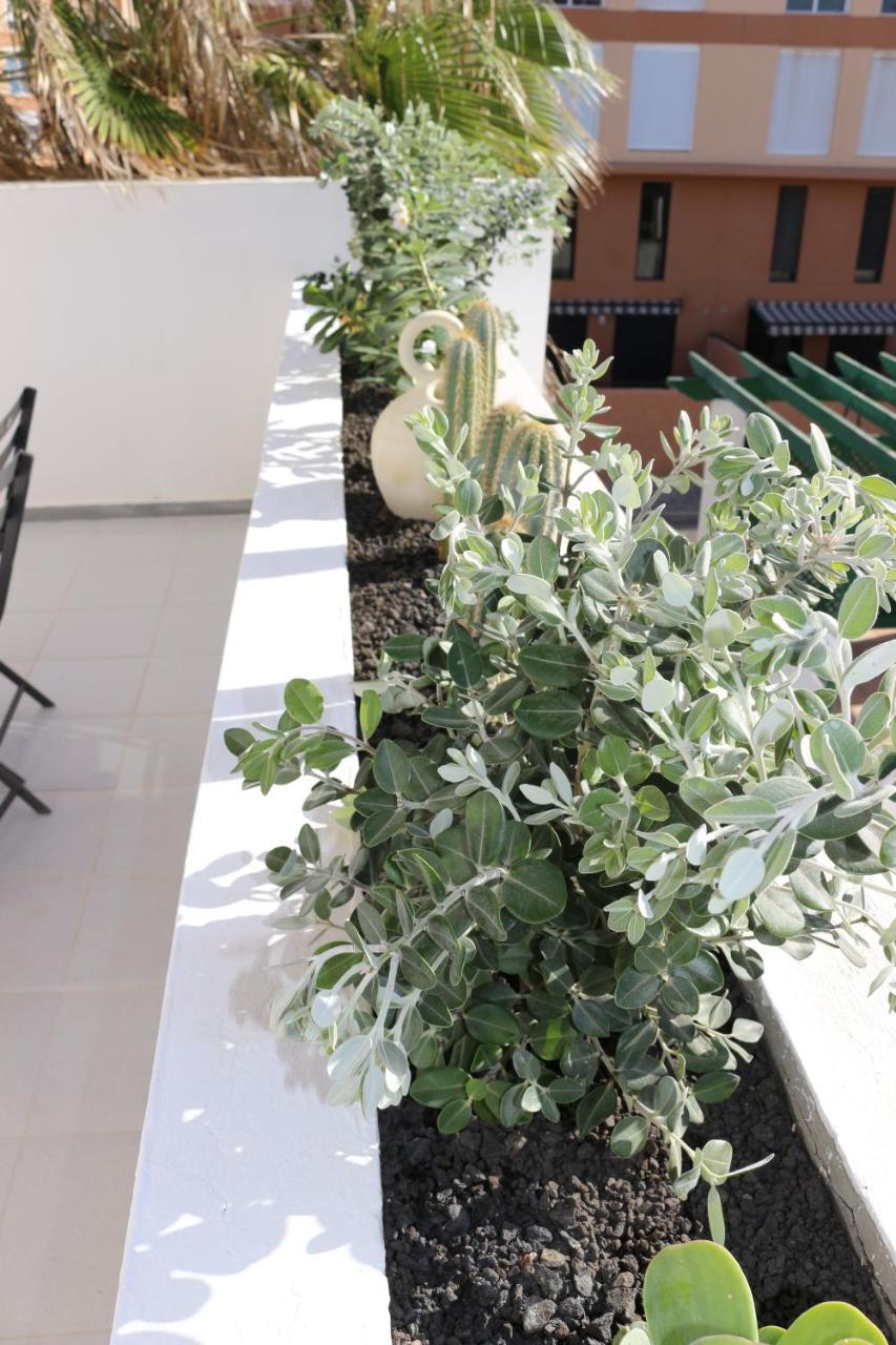 Bungalow Balancon Duplex 엘메다노 외부 사진